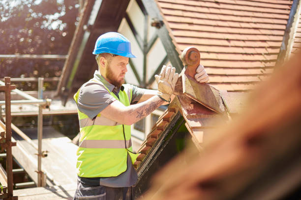Best Roof Gutter Cleaning  in Victoria, KS